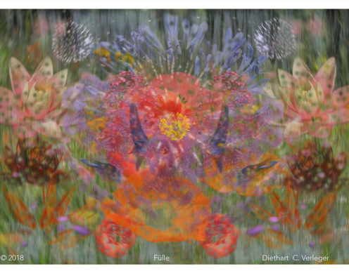 Fülle Diethart Verleger