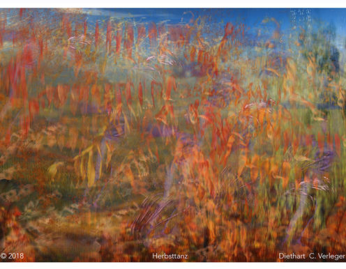 Herbsttanz Diethart Verleger