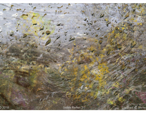 Stilles Reifen 2 Diethart Verleger