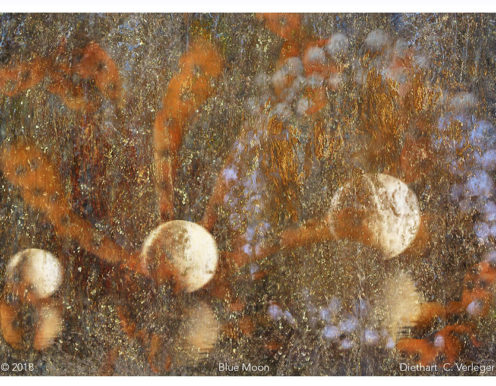 blue moon Diethart Verleger