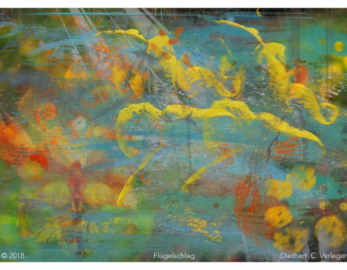 Flügelschlag Diethart Verleger