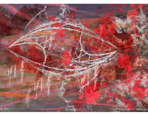 Gralslicht 2 Diethart Verleger