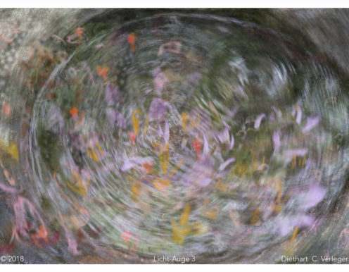 Licht-Auge 3 Diethart Verleger