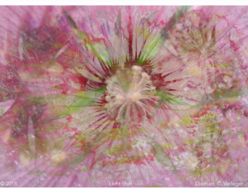 Licht-Shift Diethart Verleger