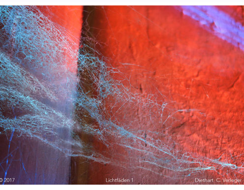 Lichtfäden 1 Diethart Verleger