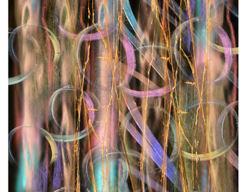 Lichtfäden 3 Diethart Verleger