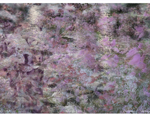 Meran-Licht 1 Diethart Verleger