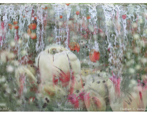 Meran-Licht 2 Diethart Verleger