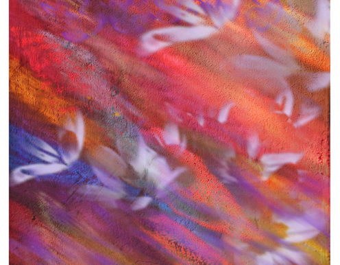 Streiflicht 3 Diethart Verleger