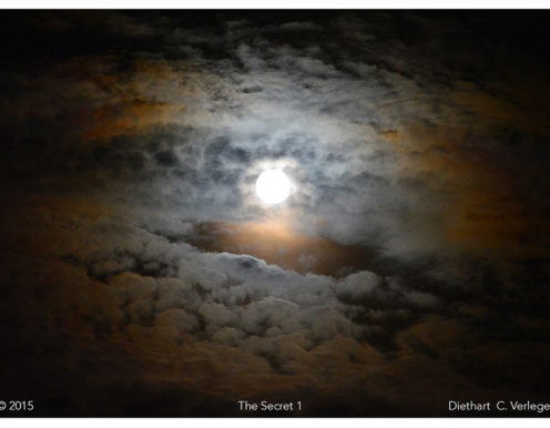 The Secret 1 Diethart Verleger