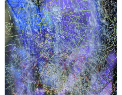 Polumkehr Diethart Verleger