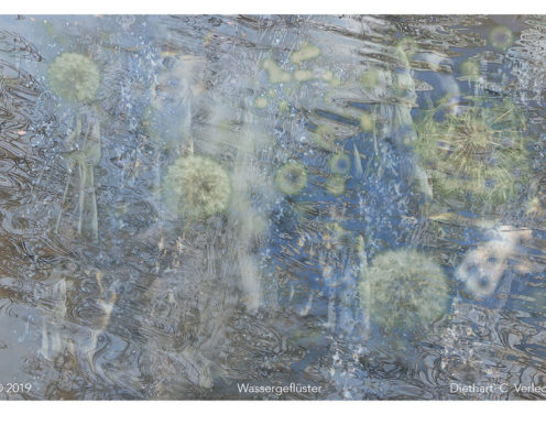 Wassergeflüster Diethart Verleger